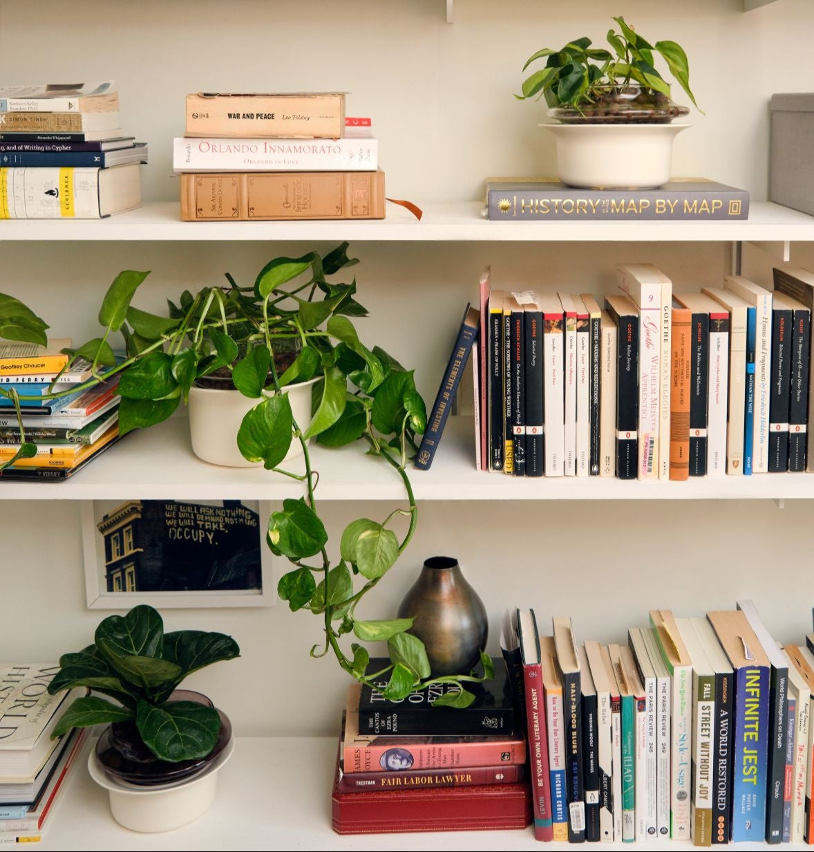 Bookshelf Companions
