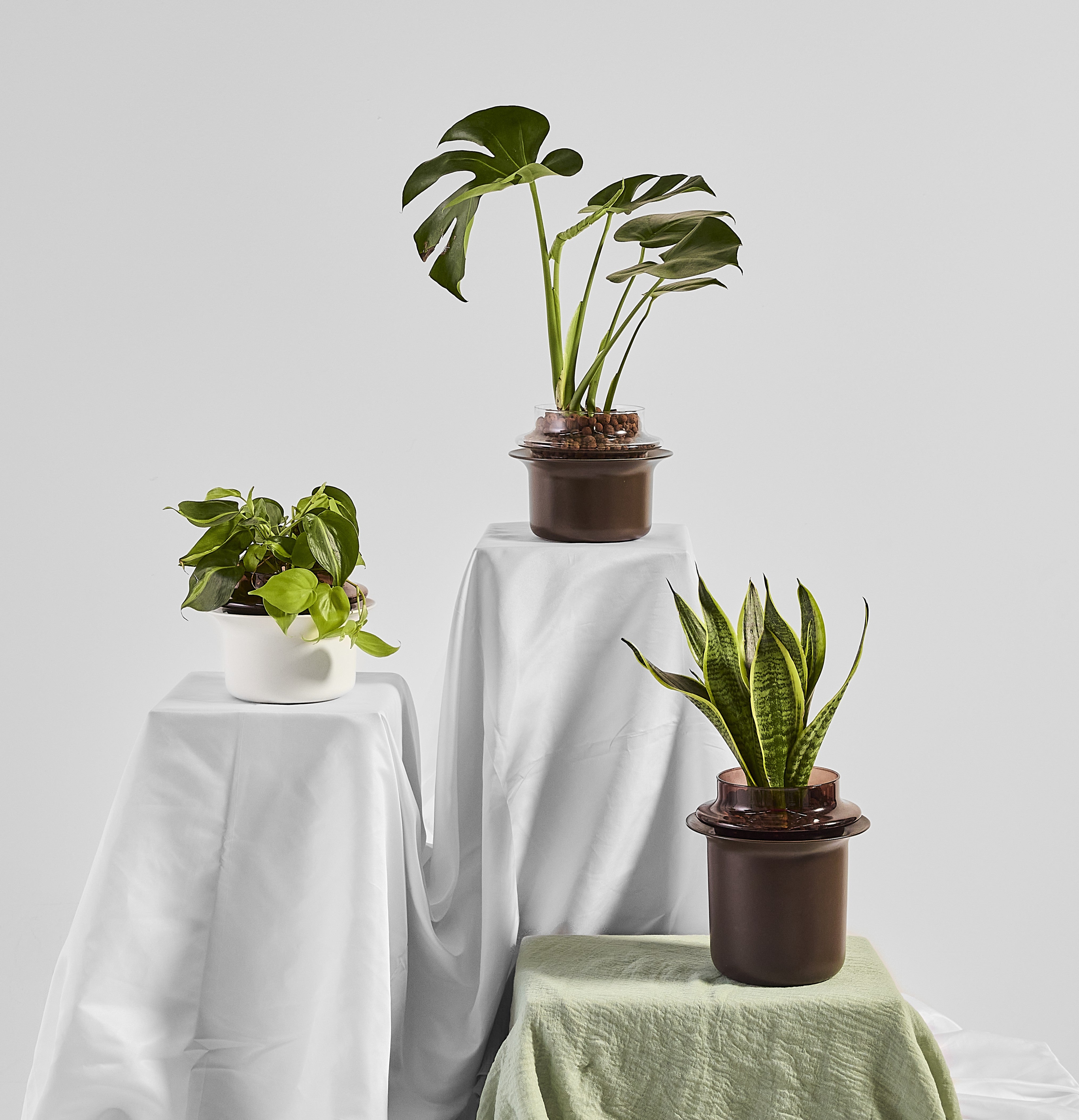 New to Plants