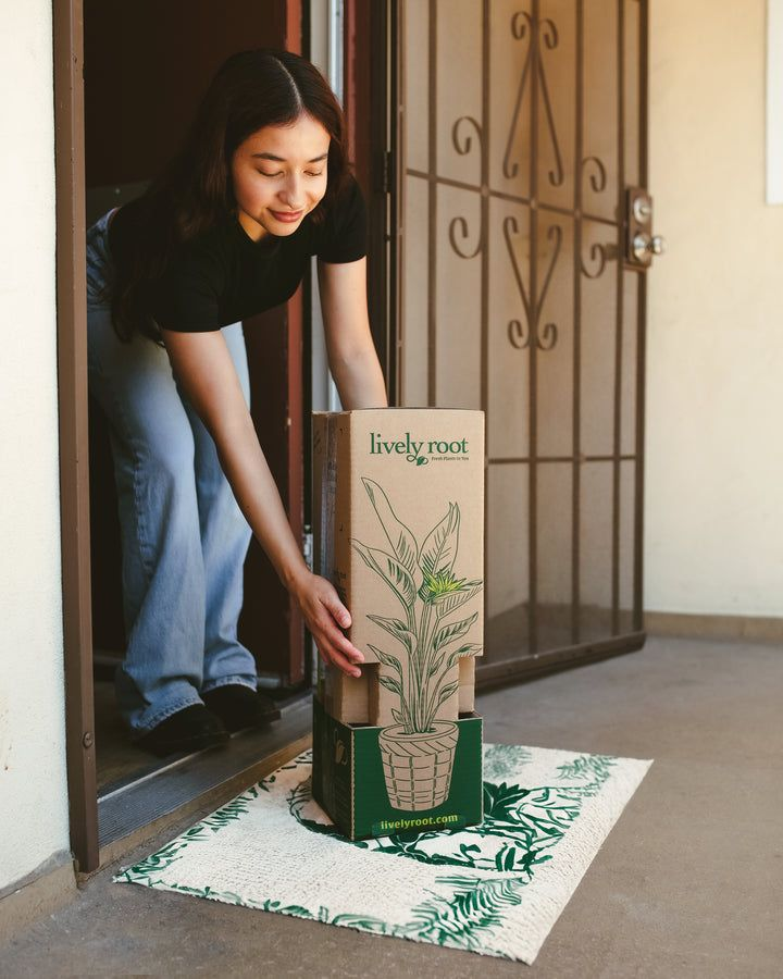 New Home, New Chapter