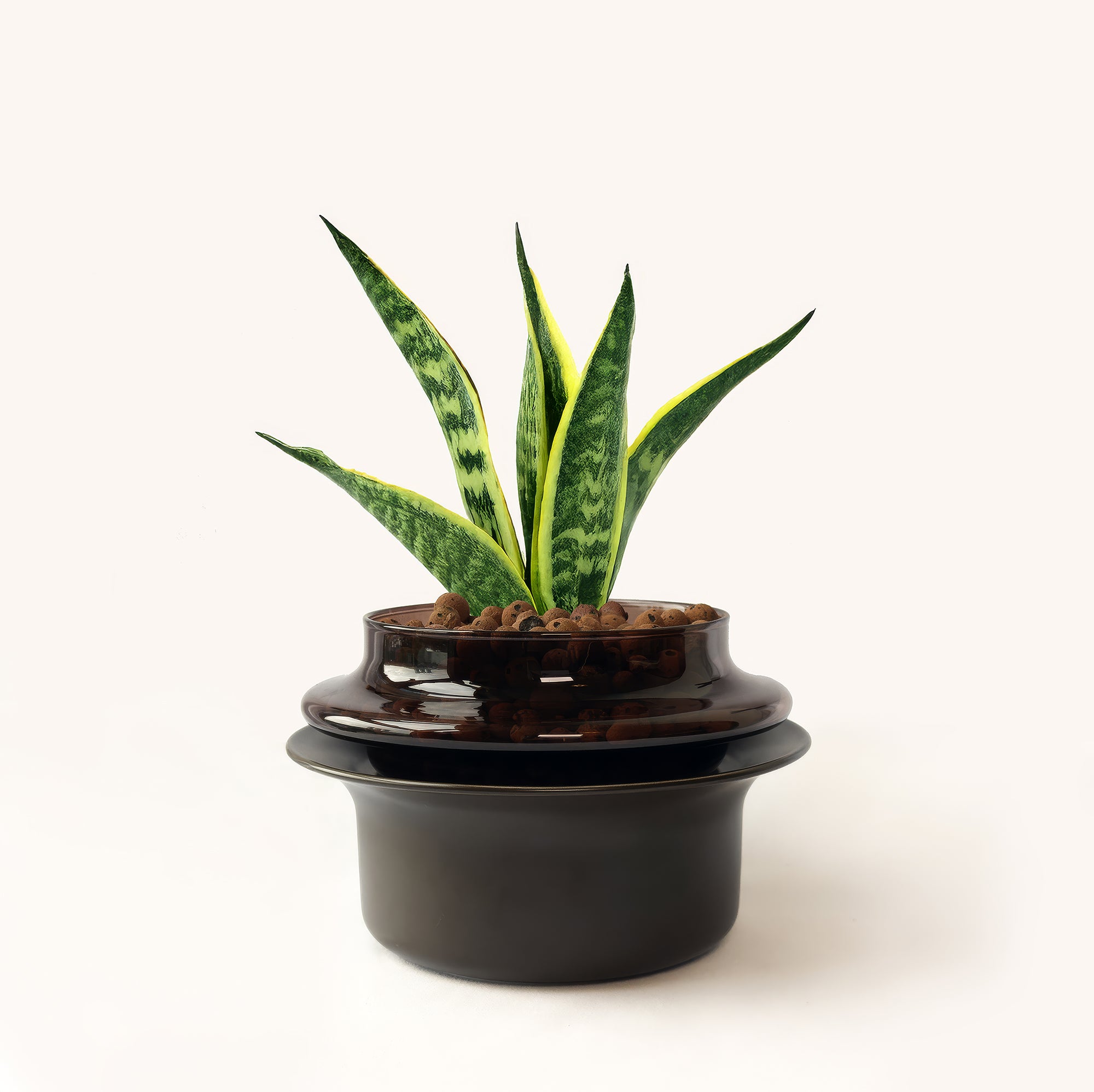 Small,Espresso,Espresso